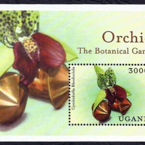 Uganda - Orquídeas (2000) 2235