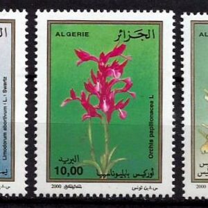 Argelia - Orquídeas (2000)