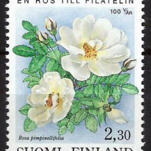 Finlandia - Rosa espinosa (1993)