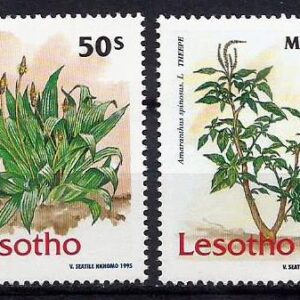 Lesotho - Plantas medicinales (1995)
