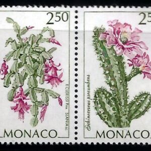 Mónaco - Cactus (1993)