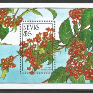 Nevis - Bandera española