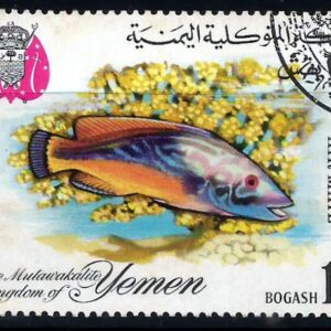Reino de Yemen - Peces