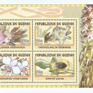 República de Guinea - Orquídeas (2002) MS