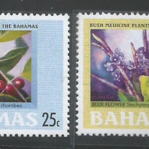 Bahamas - Plantas medicinales