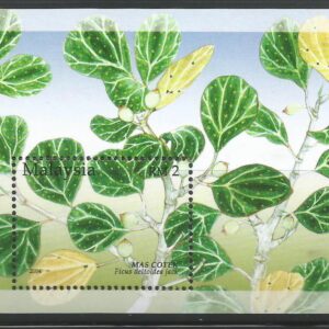 Malasia - Plantas medicinales