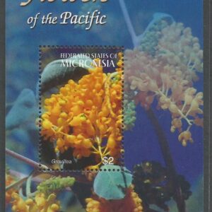 Micronesia - Flores del Pacífico