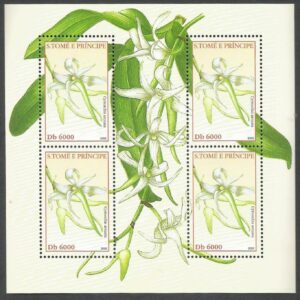 Santo Tomé - Orquídeas (2002)
