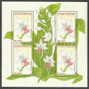 Santo Tomé - Orquídeas (2002)