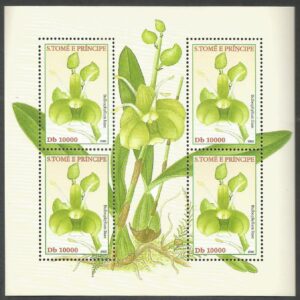 Santo Tomé - Orquídeas (2002)