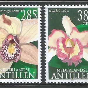 Antillas Holandesas - Orquídeas (2002)