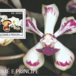 S. Tomé e Príncipe - Setas y Orquídeas (2003) Ms 2044
