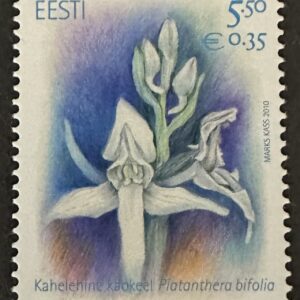 Estonia - Satirión blanco. Platanthera bifolia.