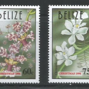 Belize - Christmas 96