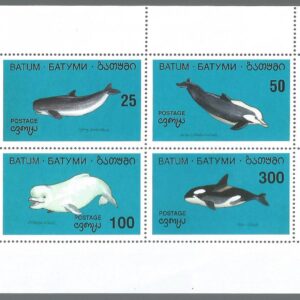 Georgia, Batumi (1994) - Marine Mammals,