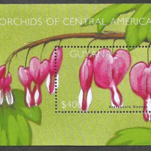 Guyana - Orchids of Central America (2002)
