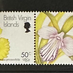 Islas Vírgenes Británicas