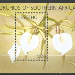 Lesotho - Orchids of Southern Africa (2002)