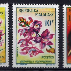 Orquídeas de Madagascar (1963)