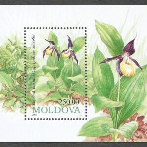 Moldavia - Zapatilla de Dama (1993)