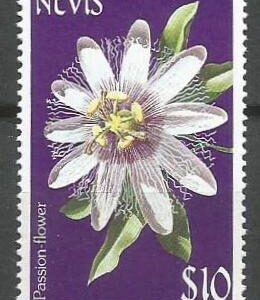 Nevis - Pasionaria (1984)