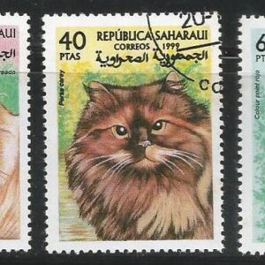 República Saharauí (1999) Gatos