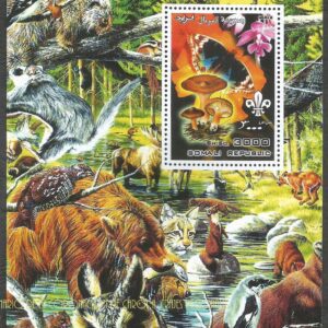 República Somalí - Butterflies, Orchids, Mushrooms and Fauna