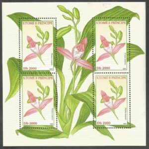Santo Tomé - Orquídeas (2002)