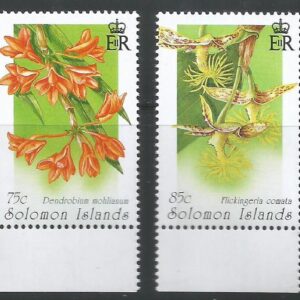 Solomon Islands - Orchids