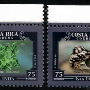 Costa Rica - Vida Marina en Isla Uvita (2002)