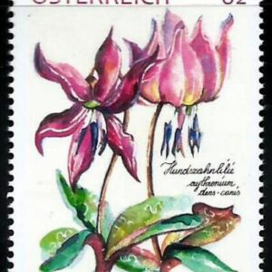 Austria - Orquídea (2014).