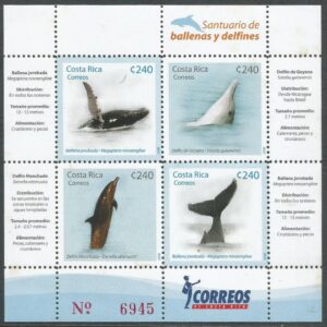 Ballenas y Delfines (2008)