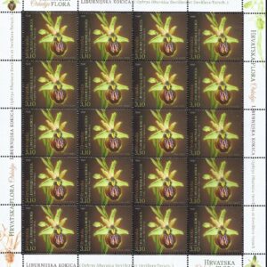 Croacia - Flora, Orchids (2014)