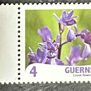 Guernsey - Orquídea de flores laxas (2009)