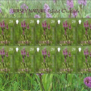 Jersey - Orquídeas silvestres (2003)