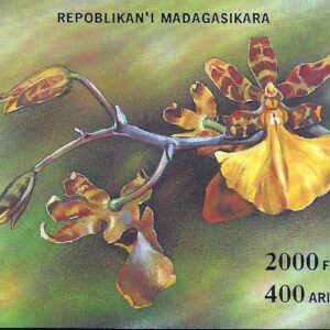Madagascar - Orchids 1993