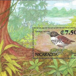 Nicaragua - Hormiguero moteado (1991)