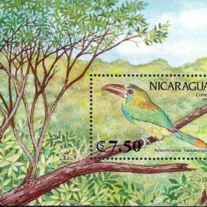 Nicaragua - Tucancito culirrojo (1991)