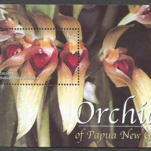 Orchids of Papua New Guinea