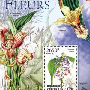 República Centroafricana - Flores (2013)