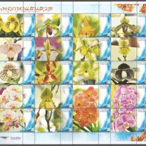 Thailand - Orquídeas - plana (b)