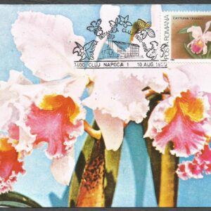 Rumanía - Album de 20 tarjetas postales de Orquídeas, exposición filatélica 1990
