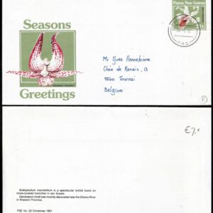 Papua Nueva Guinea - FDC 1991