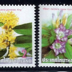 Tailandia - Año Nuevo 2001