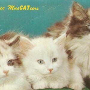 The three MusCATeers