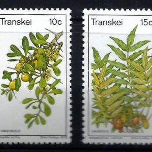 Transkei - Frutas silvestres comestibles (1978)
