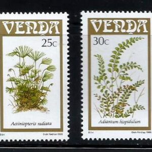 Venda (Sudáfrica) Helechos (1985)