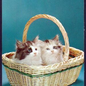 We are ready, are you?