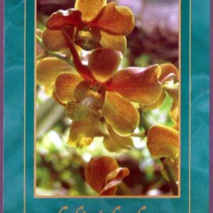 Cuba - Día de la Madre