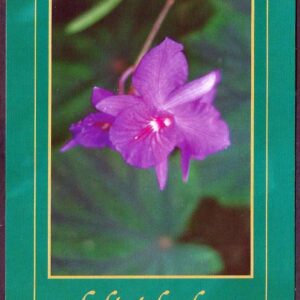 Cuba - Día de la Madre